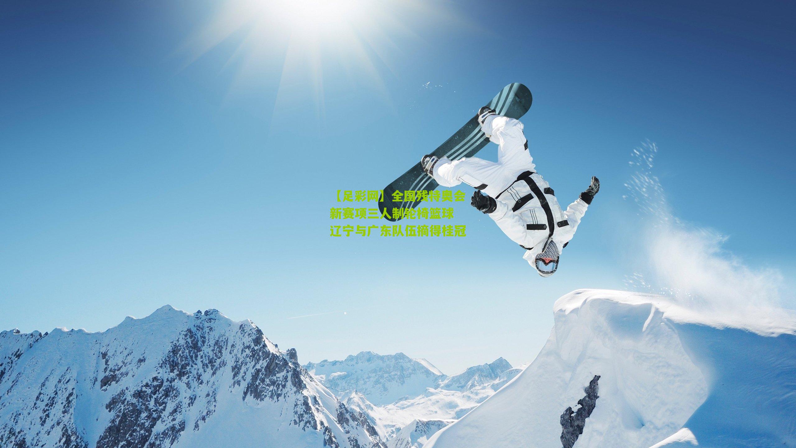 全国残特奥会新赛项三人制轮椅篮球 辽宁与广东队伍摘得桂冠
