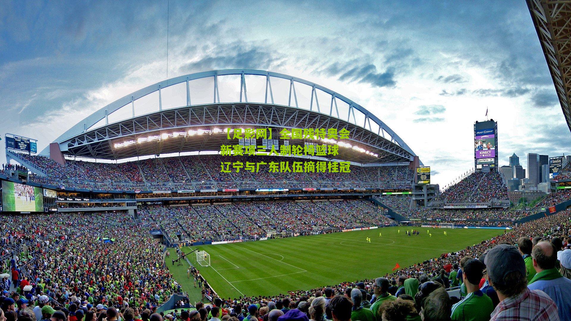 全国残特奥会新赛项三人制轮椅篮球 辽宁与广东队伍摘得桂冠