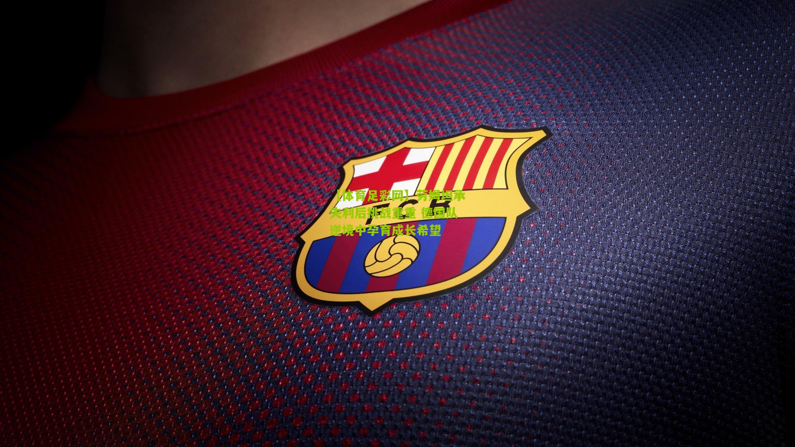 劳姆坦承失利后挑战重重 德国队逆境中孕育成长希望