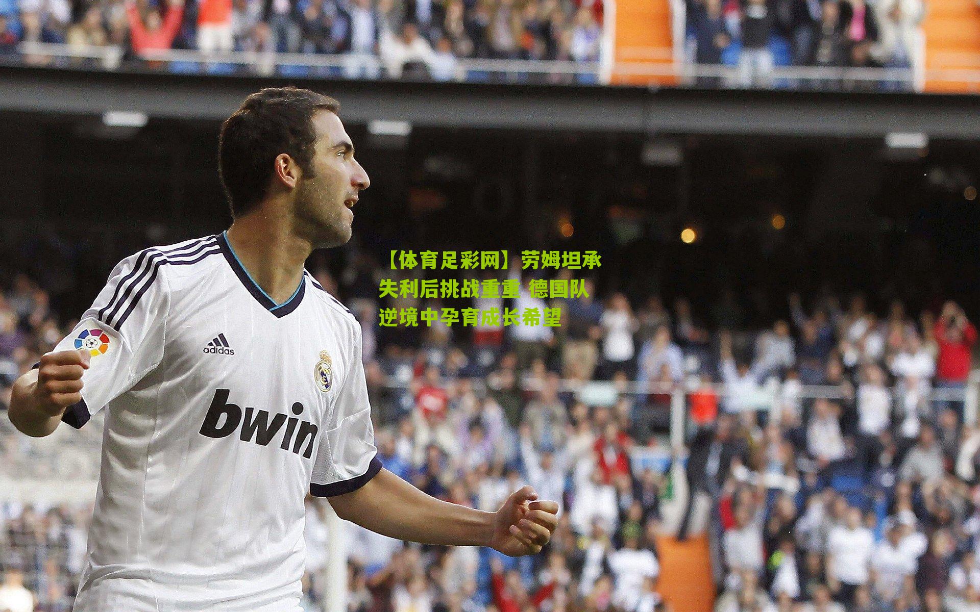 劳姆坦承失利后挑战重重 德国队逆境中孕育成长希望